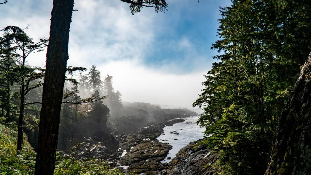 Odyssey Shores Guest Suite Ucluelet Zewnętrze zdjęcie