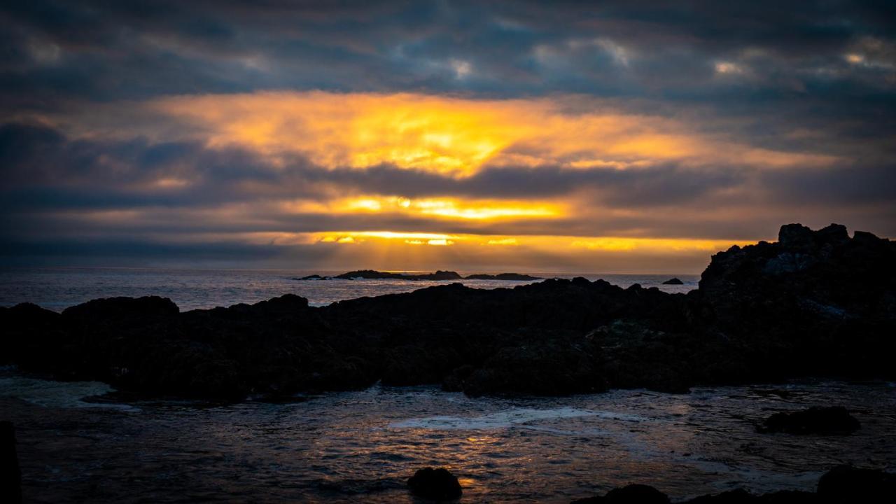 Odyssey Shores Guest Suite Ucluelet Zewnętrze zdjęcie