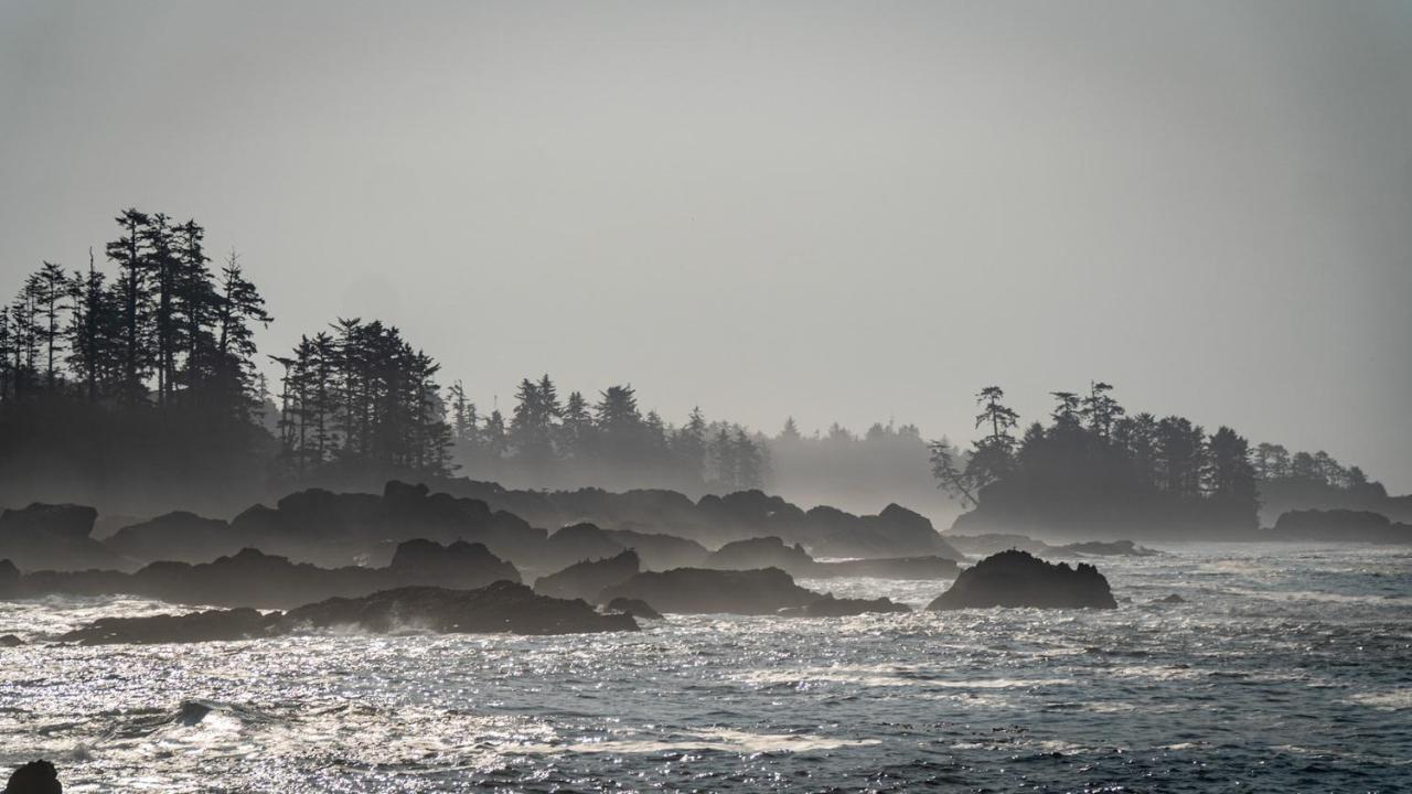 Odyssey Shores Guest Suite Ucluelet Zewnętrze zdjęcie