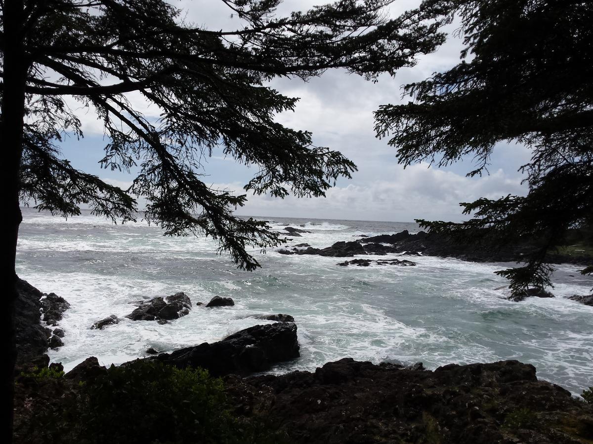 Odyssey Shores Guest Suite Ucluelet Zewnętrze zdjęcie