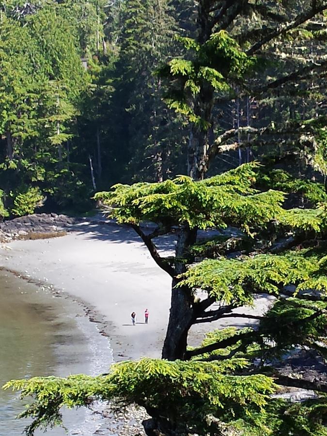 Odyssey Shores Guest Suite Ucluelet Zewnętrze zdjęcie