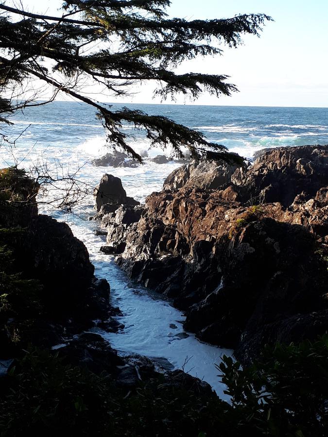 Odyssey Shores Guest Suite Ucluelet Zewnętrze zdjęcie