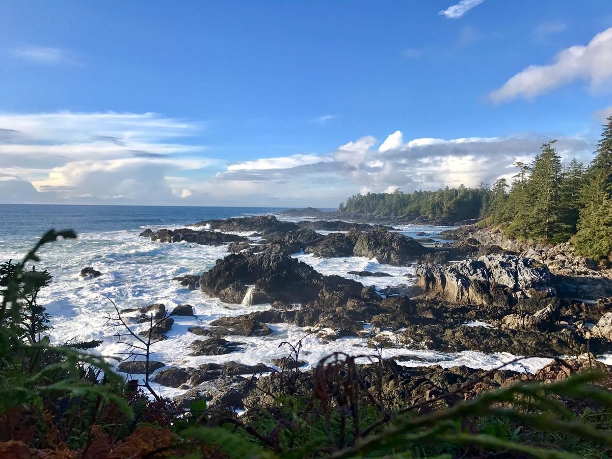 Odyssey Shores Guest Suite Ucluelet Zewnętrze zdjęcie