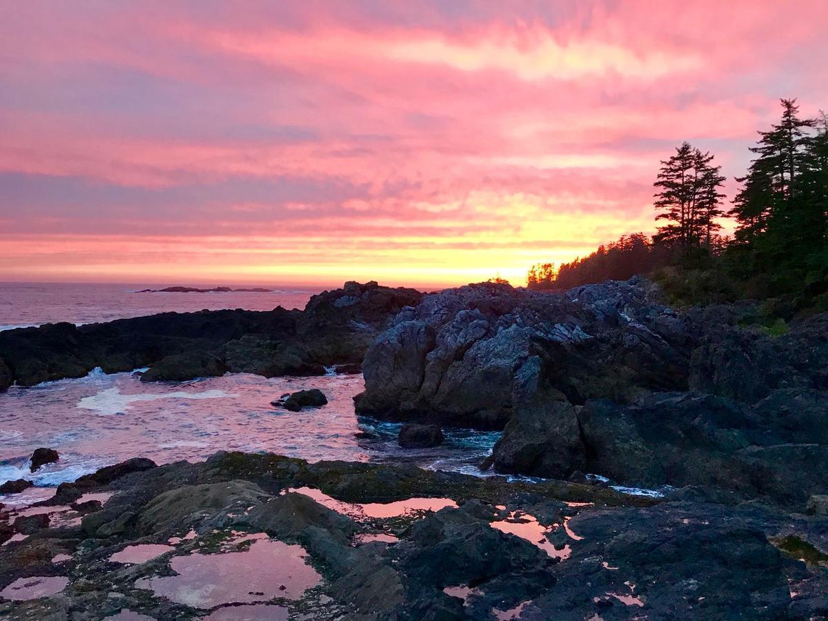 Odyssey Shores Guest Suite Ucluelet Zewnętrze zdjęcie