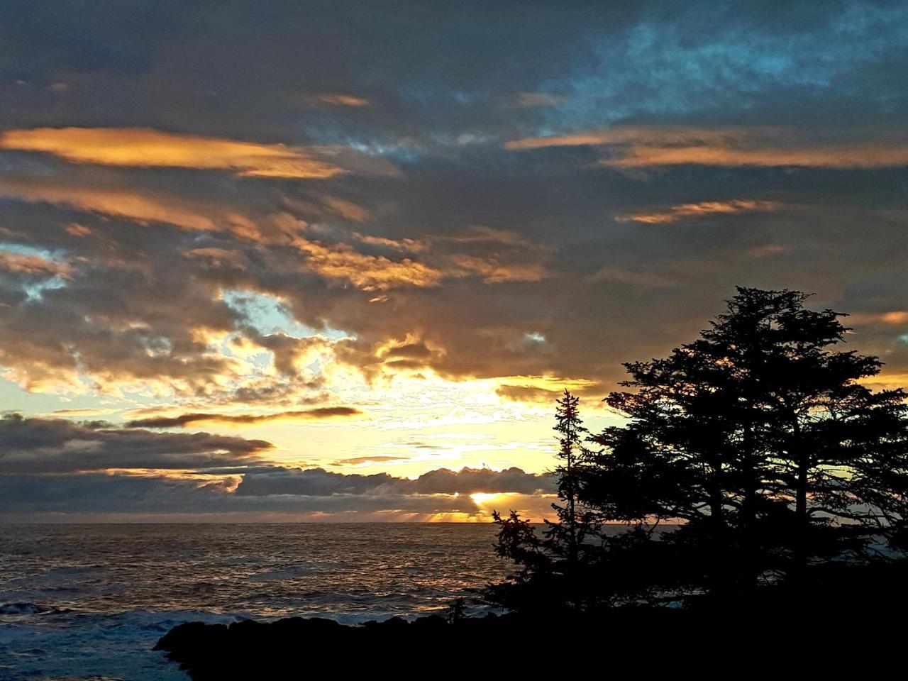 Odyssey Shores Guest Suite Ucluelet Zewnętrze zdjęcie